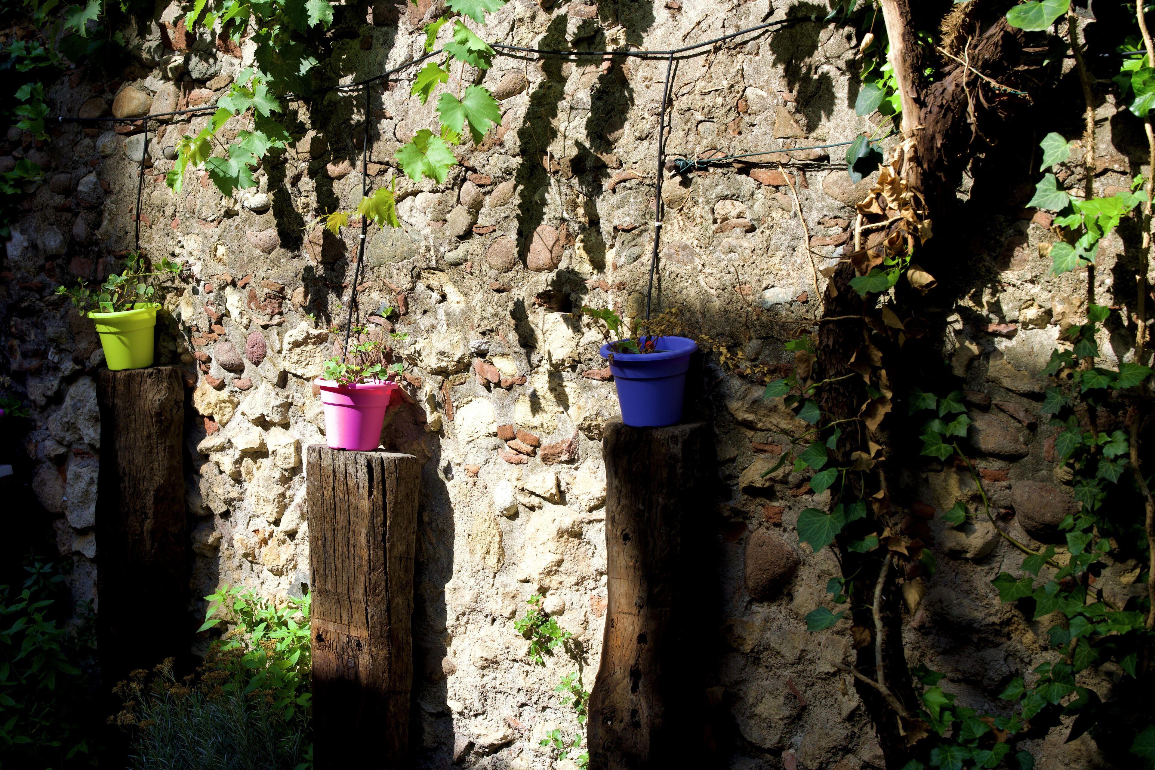Casa Babbuino, Verona